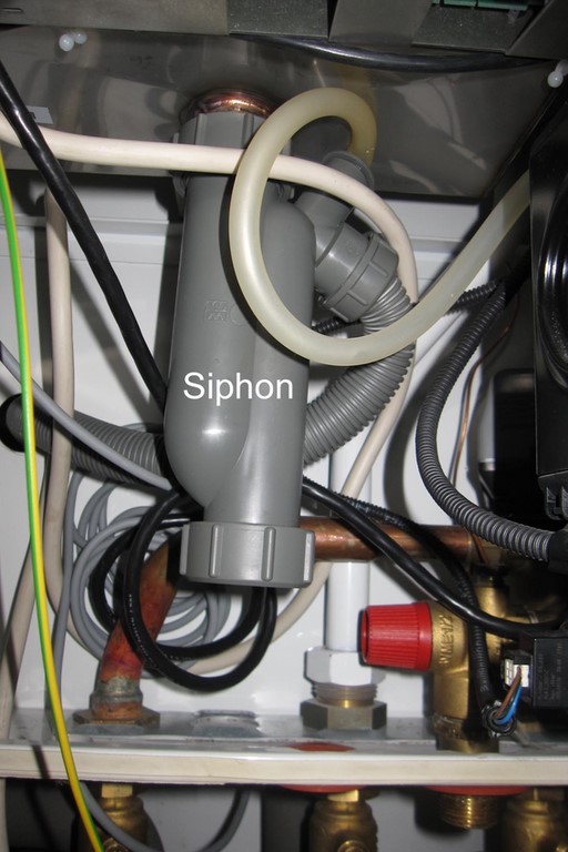 Der Syphon des Kondensatablaufs wurde im Rahmen der Wartung der Heizung gereinigt.