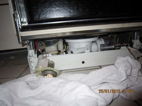Geschirrspüler Reparatur: Ausgebaute Pumpe (Ablaufpumpe)